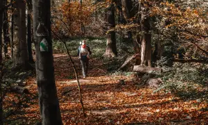 Jesień w Bieszczadach. Rodzina wędruje leśnym szlakiem, dziecko w nosidle.