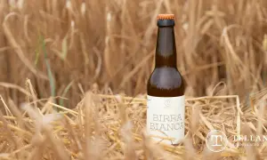 Una bottiglia di birra bianca Tellan, tra spighe dorate, simbolo di birre di qualità.