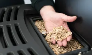 Dłoń trzyma garść pelletu, który wsypuje się do zasobnika pieca. Czy pellet będzie zakazany?