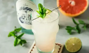 Einfache Gin-Cocktails: Schnell & köstlich mixen Rezepte für Einsteiger