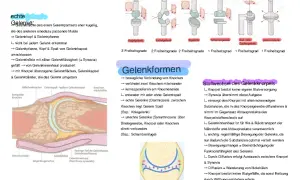 Abbildung zeigt verschiedene Gelenkformen, darunter ein Kugelgelenk, das als unechtes Gelenk beschrieben wird.