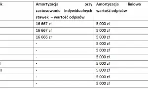 Amortyzacja budynku: Ile lat? Skróć do 10! Poradnik