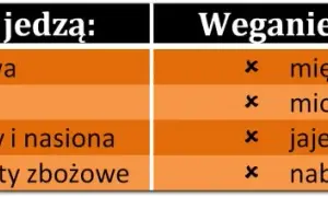 Czego nie można jeść na diecie wegańskiej? Unikaj tych produktów!