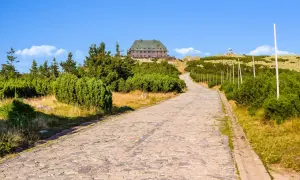 Kamienista ścieżka prowadzi pod górę, w stronę schroniska na szczycie. Otaczają ją kosodrzewiny i wysokie drzewa.
