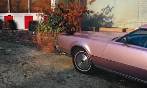 Un'iconica william eggleston foto: una Lincoln rosa metallizzato parcheggiata accanto a un muro di mattoni e un cespuglio autunnale.