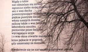 Długi wiersz - odkryj emocje i znaczenie w polskiej poezji