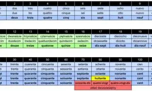 Francuskie liczebniki: proste zasady, które musisz znać