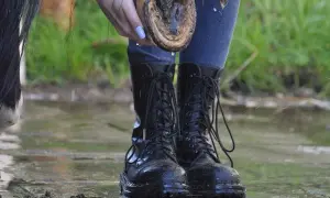 Jak dbać o konia - kluczowe wskazówki dla zdrowia i szczęścia zwierzęcia
