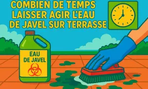 Une main gantée frotte une terrasse avec une brosse. Une bouteille d'eau de Javel et une horloge sont visibles. Combien de temps laisser agir eau de javel sur terrasse ?