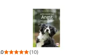 Ein Border Collie mit ängstlichem Blick schaut nach oben. Das Buchcover "Mein Hund hat Angst" zeigt, wie man die Furcht des Hundes versteht.