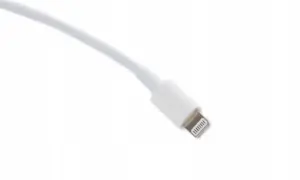 Jaki kabel do iPhone 11? Wybierz najlepszy kabel do ładowania i danych