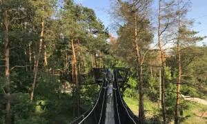 Niesamowity zdziar spacer w koronach drzew! Dzieci i dorośli pokonują wiszący most, otoczeni zielenią i słońcem.