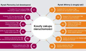 Ile kosztuje odpis aktu notarialnego? Stawki, VAT i jak obniżyć cenę