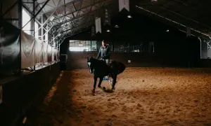 Jeździec na ciemnym koniu wykonuje ćwiczenia dla jeźdźców na piaszczystej ujeżdżalni w krytej hali.