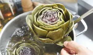 Artischocke wird mit einem Löffel aus kochendem Wasser gehoben.