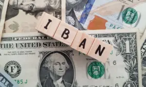 Drewniane klocki z napisem IBAN leżą na banknotach dolarowych. Dowiedz się, jak sprawdzić IBAN.