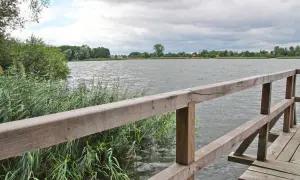 Drewniany pomost nad jeziorem, gdzie można łowić ryby. W oddali widać zalesiony brzeg i domy.