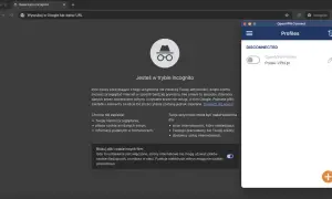 Okno przeglądarki Firefox w trybie incognito. Po prawej panel OpenVPN Connect z profilem "Polski-VPN.pl" rozłączonym.