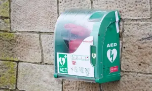 Boîtier vert fixé sur un mur de pierre, contenant un défibrillateur. Des pictogrammes indiquent qui peut utiliser un défibrillateur et comment l'utiliser.