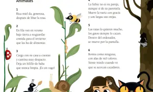 Ilustración con animales y acertijos, como una abeja, hormiga, caracol y mariquita. Ideal para 100 adivinanzas para niños.