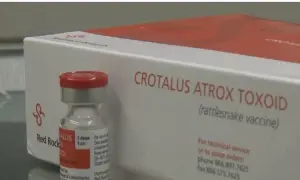 A vial and box of Crotalus Atrox Toxoid, a rattlesnake vaccine for dogs, are shown.