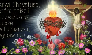 Serce Jezusa, z którego płynie krew, symbolizuje zanurzenie we krwi Chrystusa, oczyszczające dusze w Eucharystii.