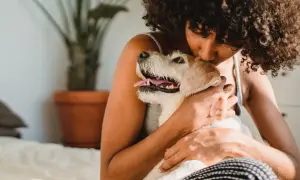 Odrobaczanie psa i kota: Jak dbać o zdrowie pupila i rodziny?