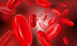 Gros plan sur des globules rouges flottant dans le sang, évoquant la circulation et potentiellement une maladie de Vaquez.