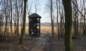 Najciekawsze atrakcje w Mosinie, które musisz odwiedzić