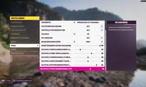 Einstellungen für die Forza Horizon 5 Grafik: Blickfeld-Optionen für verschiedene Kameras.