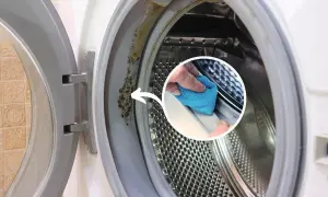 Brudna guma w pralce? Zobacz, jak wyczyścić gumę w pralce, usuwając pleśń i osady. Wystarczy ściereczka i trochę chęci!