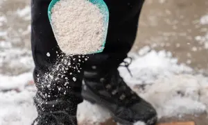 Czym posypać oblodzone schody? Sól, piasek, chlorek co wybrać?