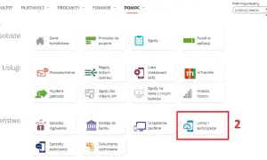Jak zrobić przelew natychmiastowy w mBanku? Poradnik Express Elixir