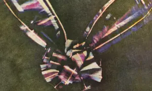 Pierwsze kolorowe zdjęcie przedstawia fragment wstęgi orderowej z widocznymi pasami w odcieniach fioletu, bieli i żółci na ciemnym tle.
