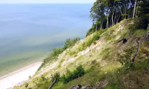 Wysoka trasa wzdłuż klifu z widokiem na spokojne morze i piaszczystą plażę. Drzewa tworzą zieloną koronę nad zboczem.