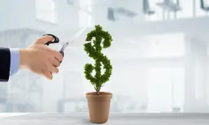 Mano con tijeras podando un árbol en forma de dólar. Una metáfora para montar negocio con poco dinero y hacerlo crecer.