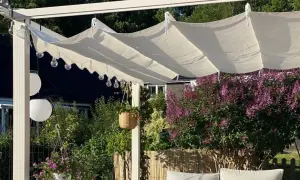 En vit kaprifol pergola med hängande ljusslingor och en frodig syrénbuske i bakgrunden.