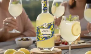 Flasche Ingwer-Limoncello mit Gläsern, Zitronen und Minze auf Holztisch.