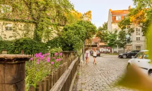 Zwei Frauen spazieren mit Hund über Kopfsteinpflaster in Rixdorf, Berlin. Bunte Blumen und üppiges Grün säumen den Weg.