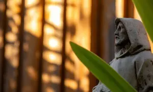 Kamienna figura patronki zwierząt, św. Franciszka, w kapturze, na tle ciepłego, rozmytego światła.