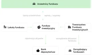 Czy towarzystwo funduszy inwestycyjnych może stworzyć IKE? Oto prawda