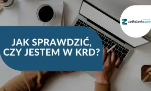 Jak sprawdzić KRD za darmo? Pełny przewodnik krok po kroku
