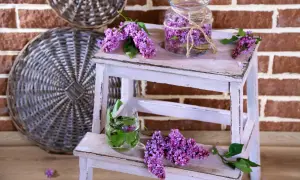 DIY Lawenda: Od zbioru po gotowe dekoracje Twój przewodnik