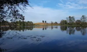 Spokojne jezioro Bachotek odbija błękitne niebo z chmurami. Na brzegu rosną drzewa i trzciny, a w oddali widać pofałdowane pola.