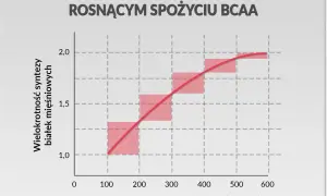 Wykres pokazuje, że przy rosnącym spożyciu BCAA efekty anaboliczne maleją. Optymalny czas na przyjmowanie BCAA to moment, gdy poziom leucyny jest umiarkowany.