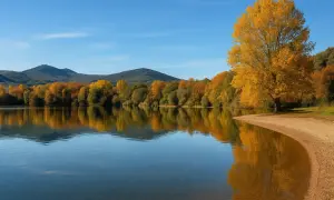 Un árbol dorado ilumina la orilla del lago de Carucedo, reflejándose en sus aguas tranquilas. Un lugar perfecto para un merendero.