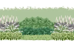 En illustration av en trädgårdsdesign med buskar som trivs i skugga, inklusive hosta, astilbe och hjärtblommor.