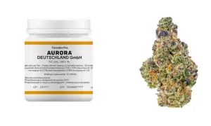 THC w medycznej marihuanie: Co oznacza dla pacjenta w Polsce?