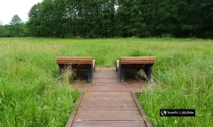 Drewniana ścieżka prowadzi do ławek pośród łąki. Idealne miejsce na relaks i odkrywanie nałęczów atrakcji na weekend.