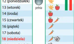 Kiedy siać marchew? Kalendarz siewu i triki na obfity plon!